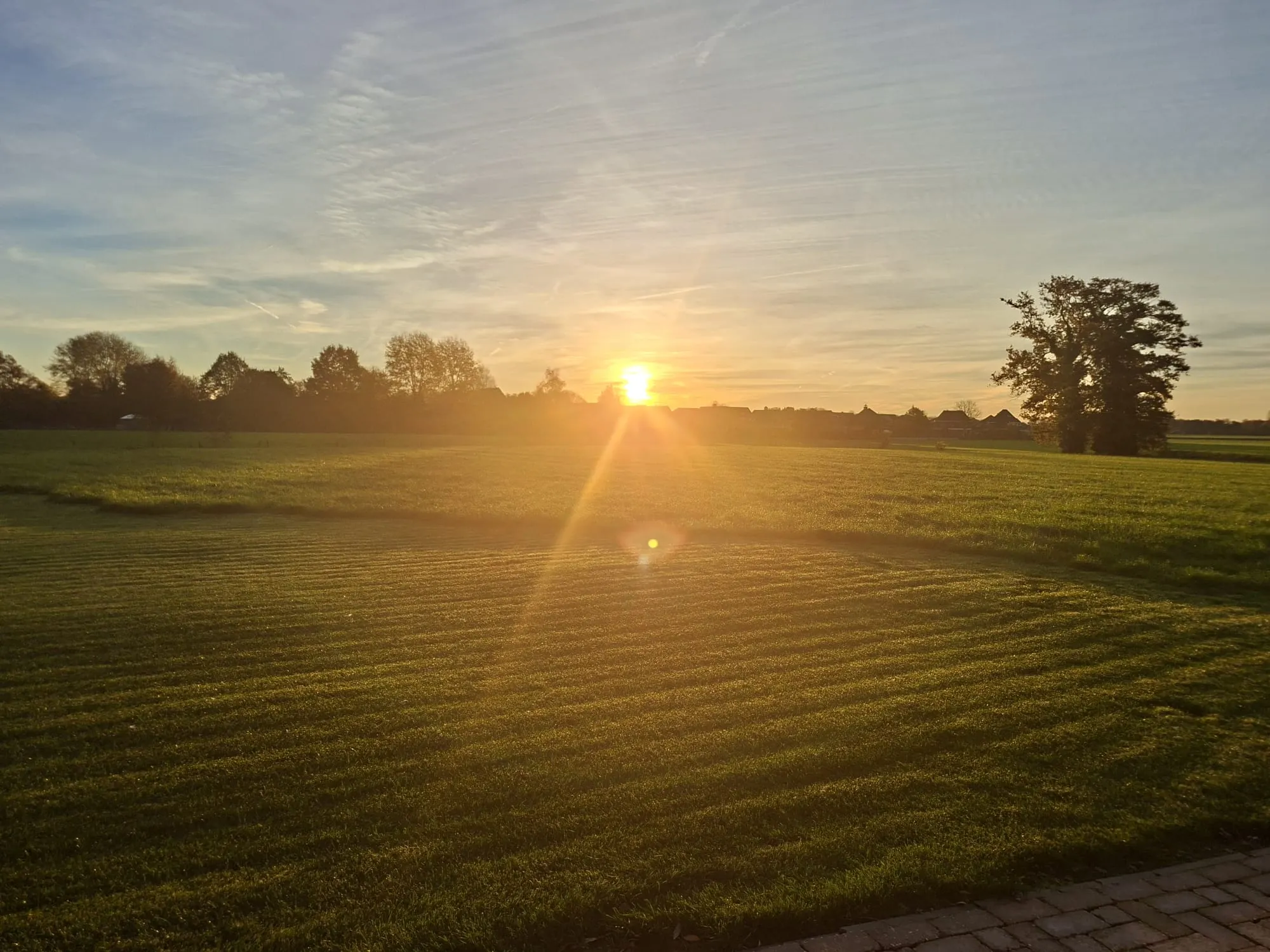 Diensten<span class='wow fadeInRight goude-lijn'></span> 